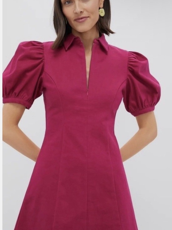 Hyacinth House Dresses & Skirts - Tuckernuck Hyacinth HousePuff-Sleeve Mini Dress